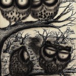Sooty Owl Journal