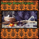 Sauvage Raven Creation